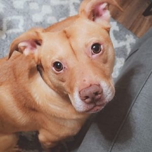 Meet your Posher, Nathan